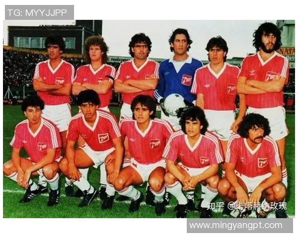 足球历史上不可忽视的传奇球星及其辉煌成就回顾