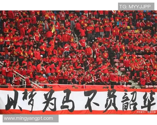 足球明星全队名单图片揭晓球迷们快来看看你支持的偶像们吧