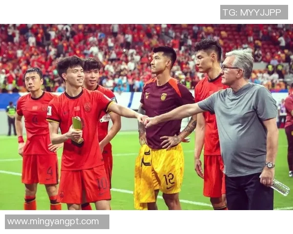 2017年国足世界杯征程回顾与未来展望分析